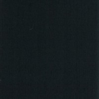 Panther black