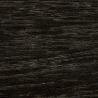 Stylish black