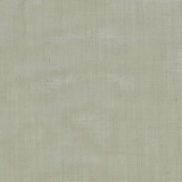 Dolphin grey