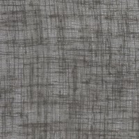 Wolve grey
