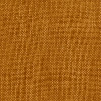 Funky orange