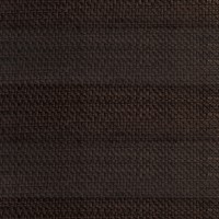 Bear brown