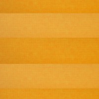 Sunny orange
