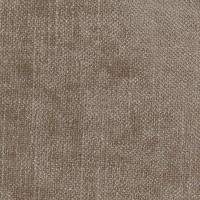 Stylish brown