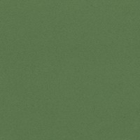 Crocodile green
